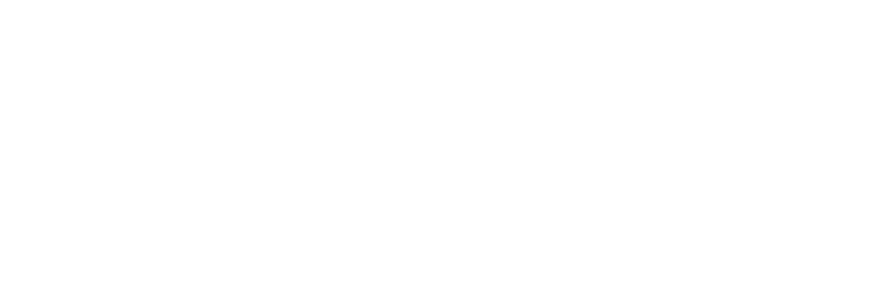 globally logo